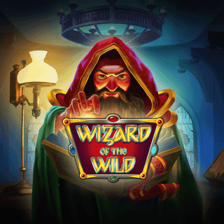 Wizard of the Wild game cover